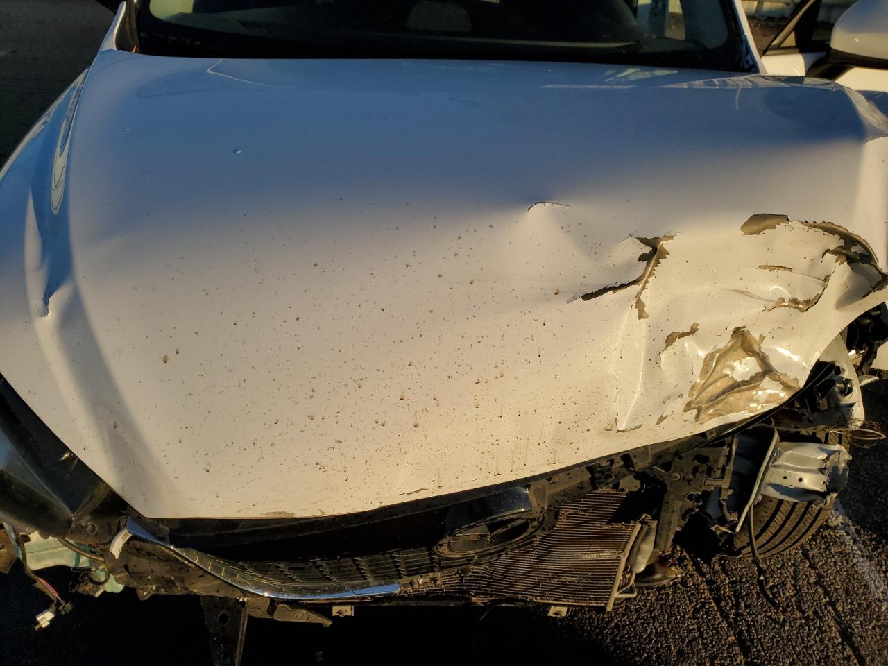 2015 Mazda CX-5 VIN JM3KE2DY4F0503472 Copart auction photo, front end / undercarriage damage thumbnail 13