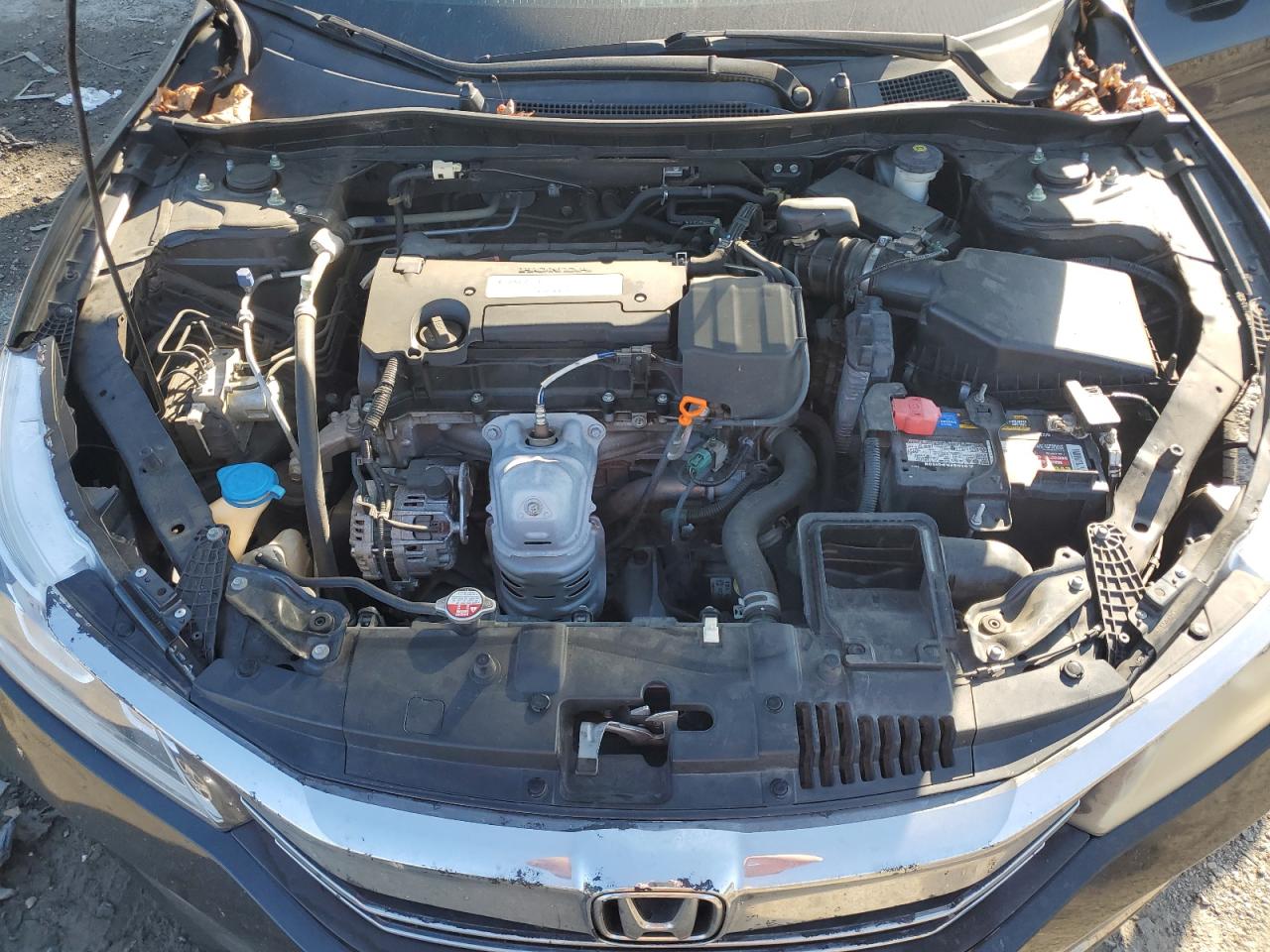 2016 Honda Accord VIN 1HGCR2F3XGA003011 Copart auction photo, rear end / side damage thumbnail 11