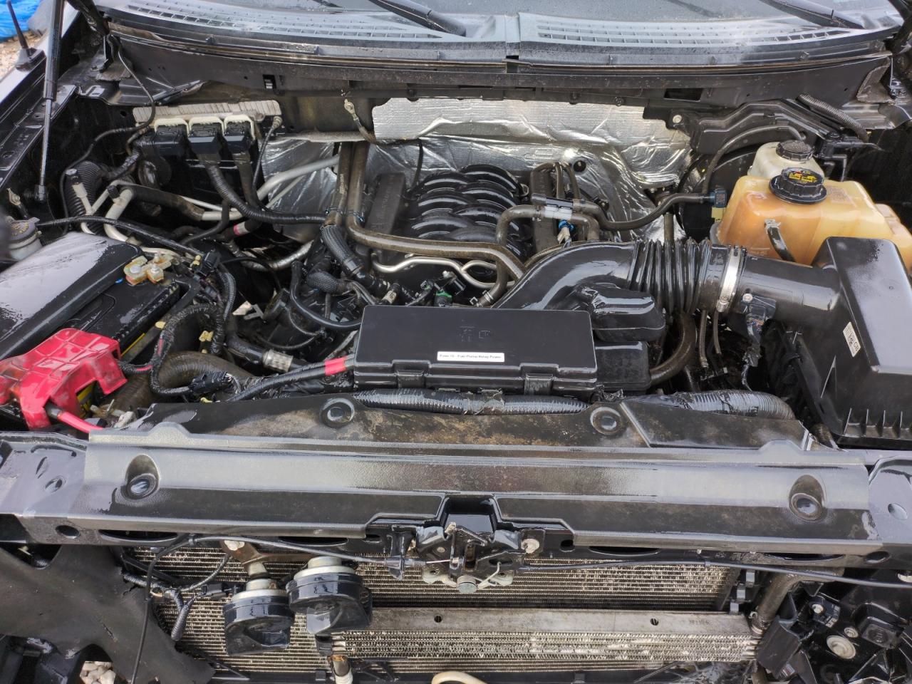 2013 Ford F-150 VIN 1FTFW1EF9DKE47612 Copart auction photo, front end damage thumbnail 11