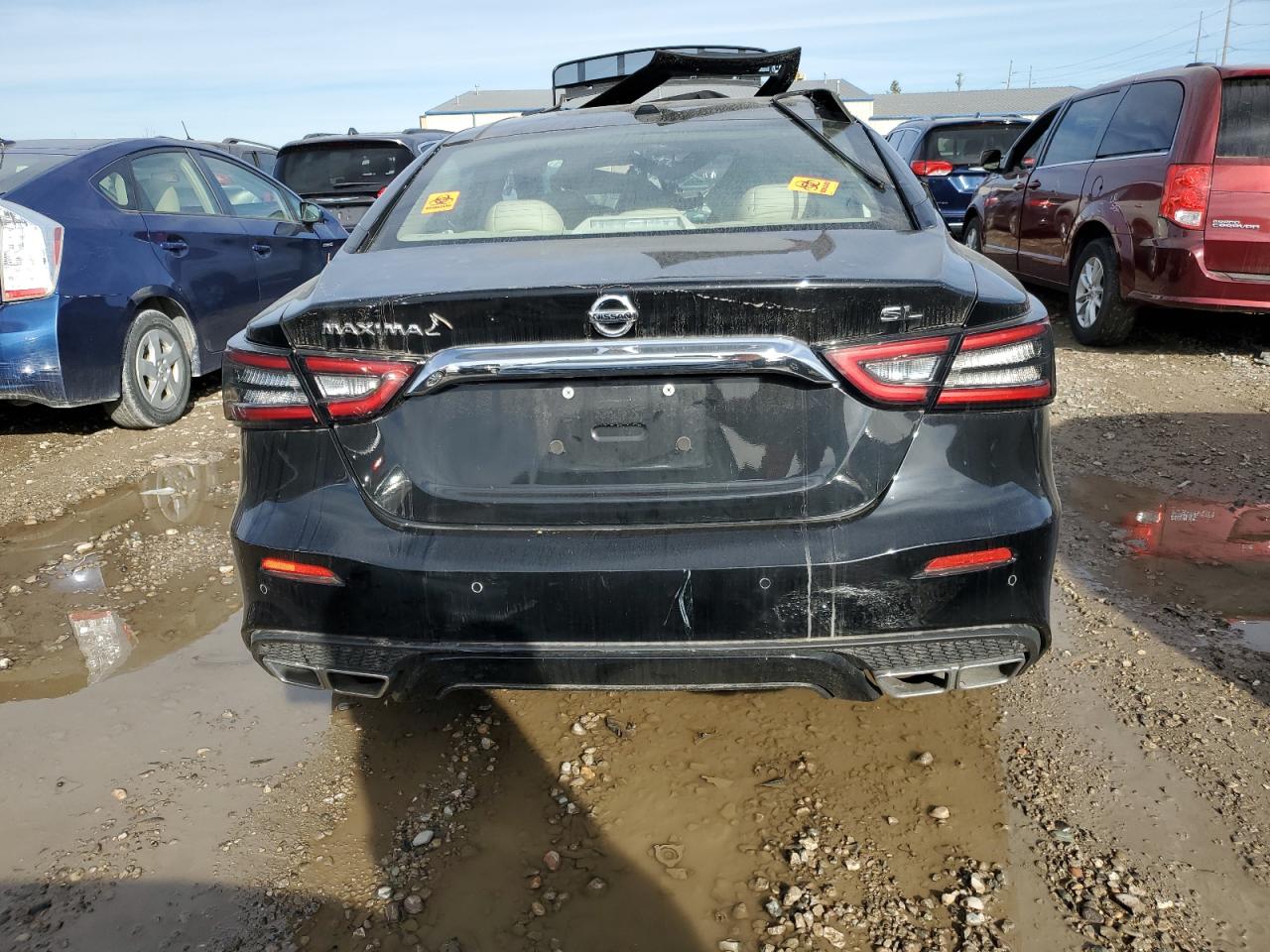 2019 Nissan Maxima VIN 1N4AA6AV1KC361758 Copart auction photo, side / top/roof damage thumbnail 6