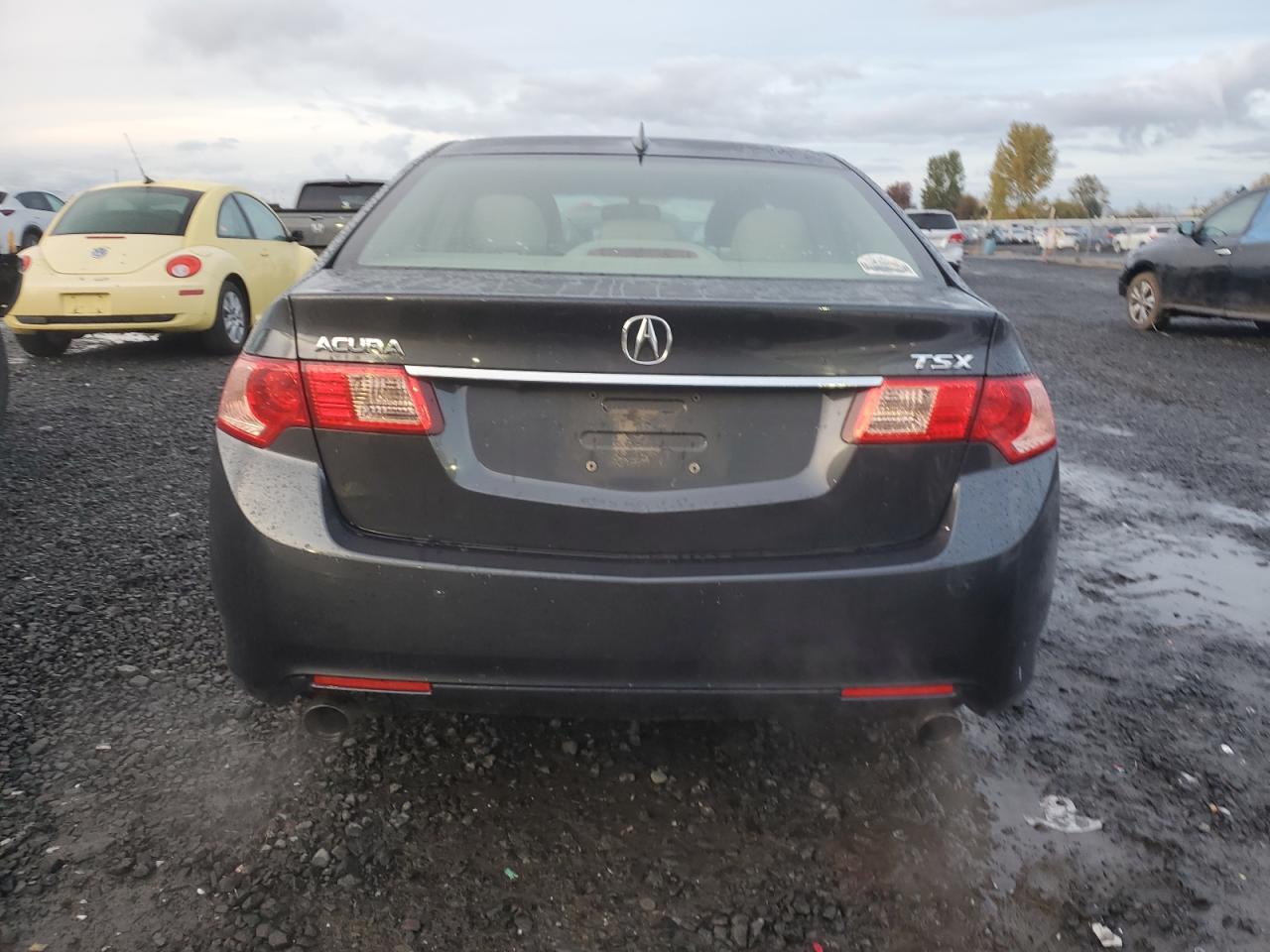 2011 Acura TSX VIN JH4CU2F66BC005583 Copart auction photo, front end damage thumbnail 6