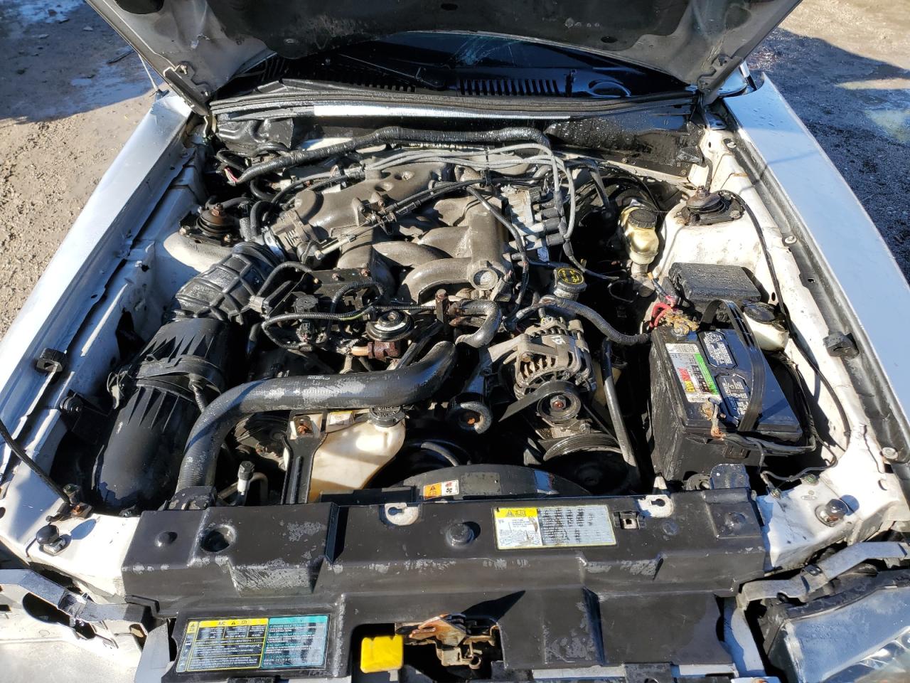 2004 Ford Mustang VIN 1FAFP446X4F154431 Copart auction photo, side damage thumbnail 11