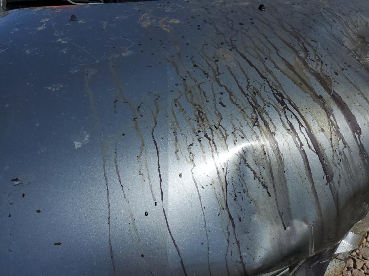 2008 KIA Sorento VIN KNDJD735685764846 Copart auction photo, front end / side damage thumbnail 12