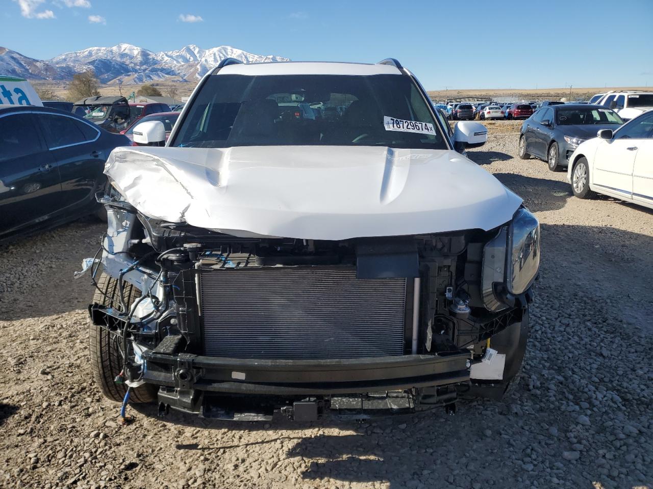 2024 KIA Telluride VIN 5XYP5DGC7RG551637 Copart auction photo, front end damage thumbnail 5