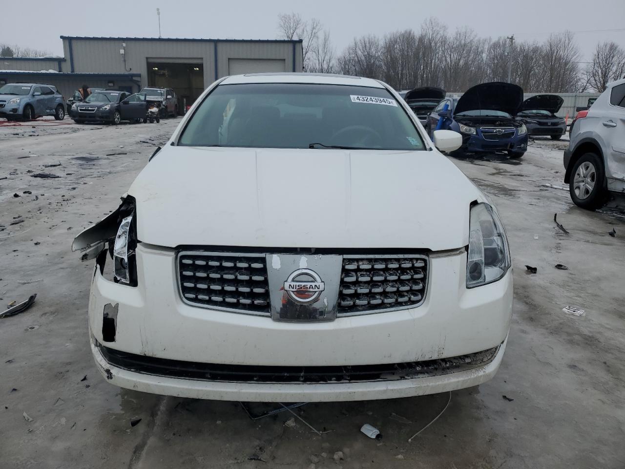 2005 Nissan Maxima VIN 1N4BA41E55C858809 Copart auction photo, side damage thumbnail 5