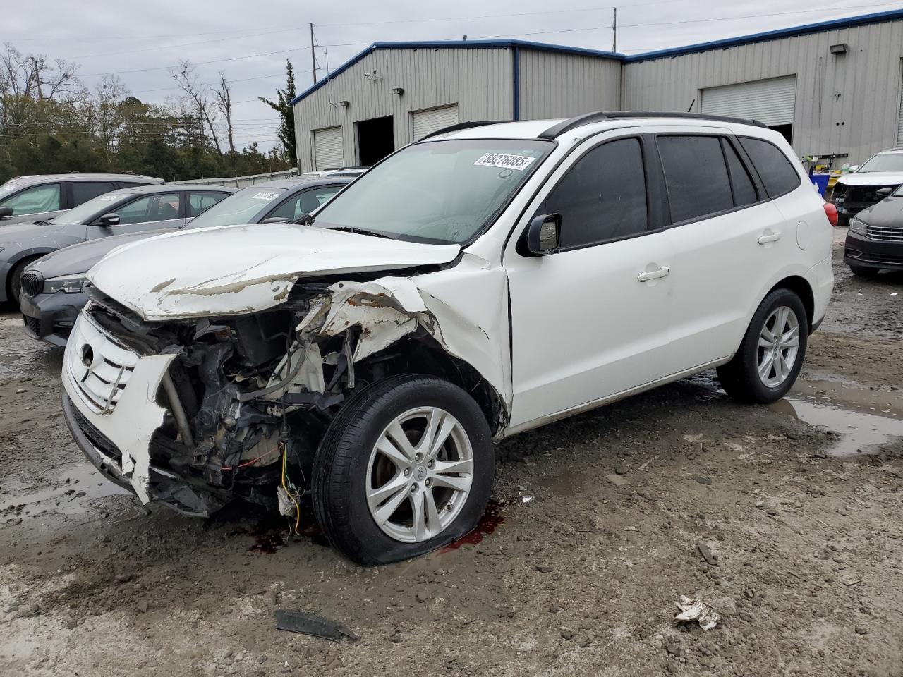 2010 Hyundai Santa Fe VIN 5NMSG3AB6AH396426