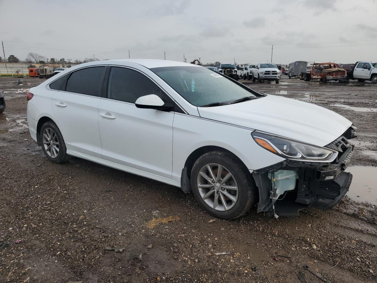 2019 Hyundai Sonata VIN 5NPE24AF3KH791303 Copart auction photo, front end / minor dent/scratches damage thumbnail 4