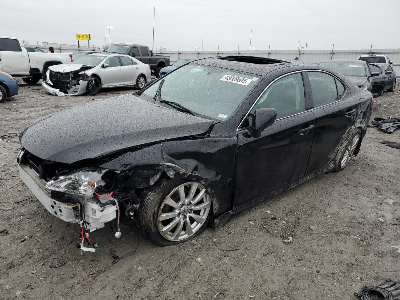 2008 Lexus IS VIN JTHCK262482026949
