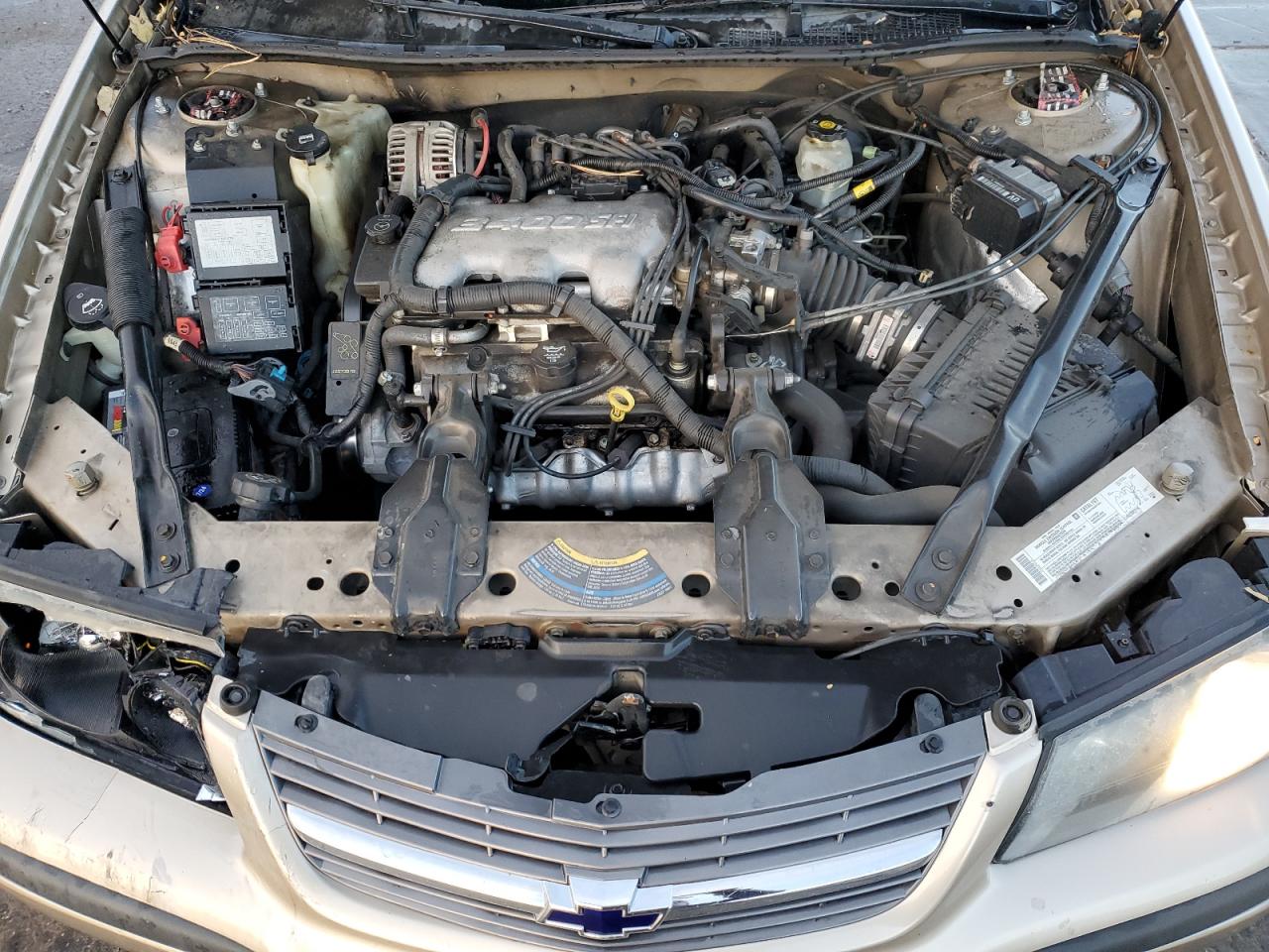 2004 Chevrolet Impala VIN 2G1WF52E149220251 Copart auction photo, front end damage thumbnail 11