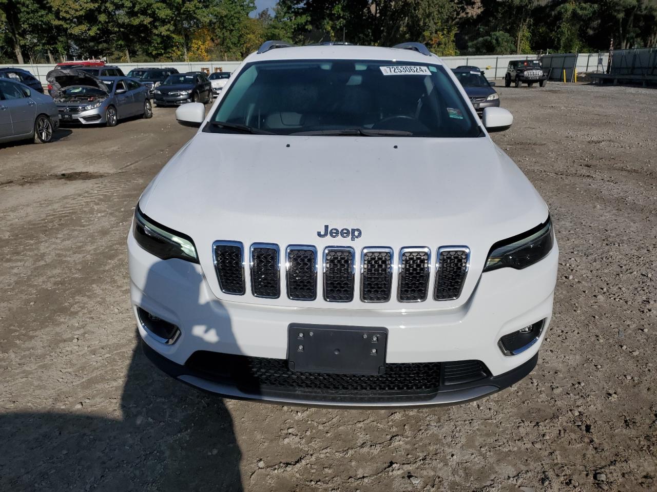 2020 Jeep Grand Cherokee VIN 1C4PJMDX5LD590042 Copart auction photo, rear end / minor dent/scratches damage thumbnail 5