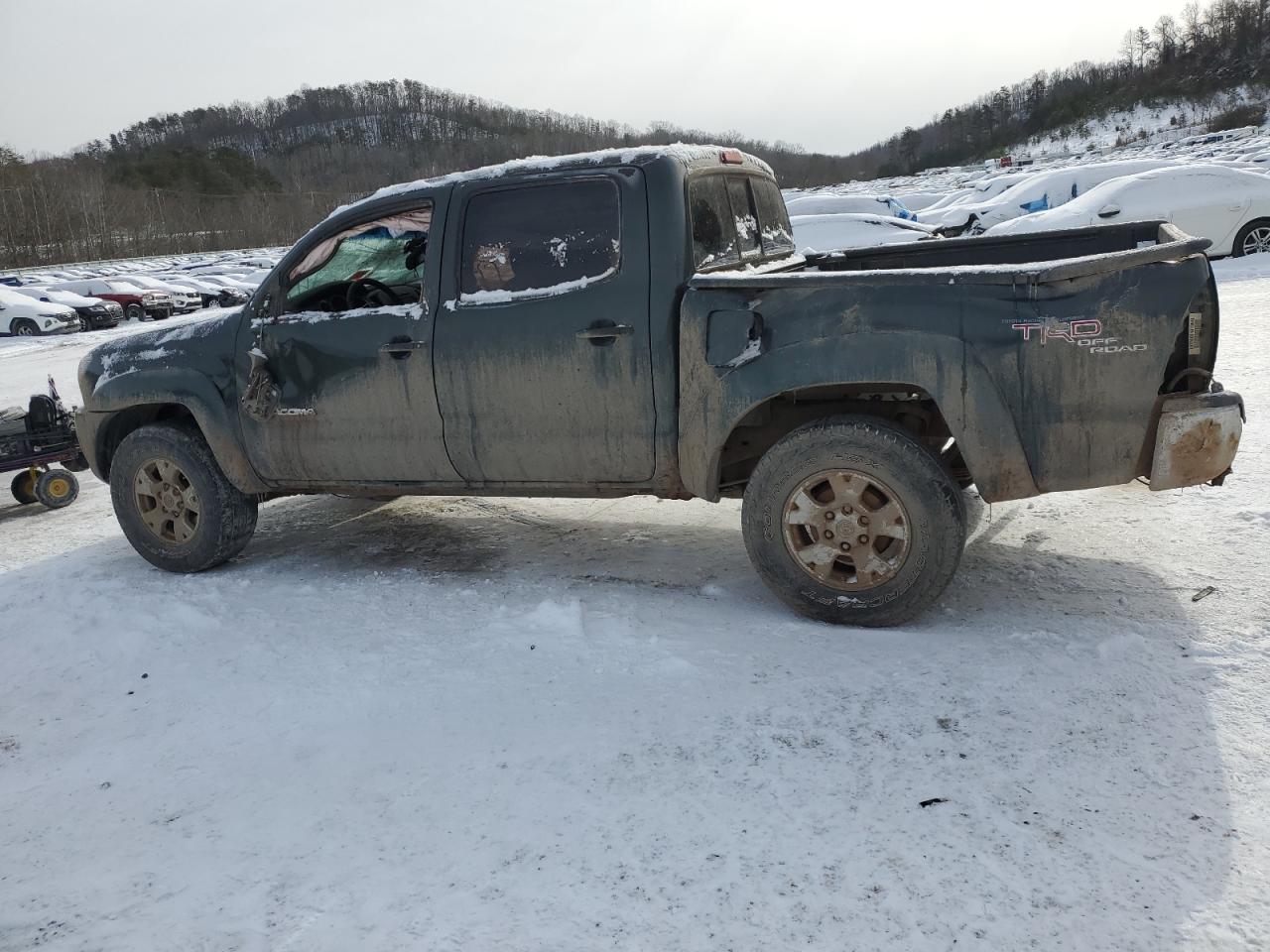 2010 Toyota Tacoma VIN 5TELU4EN6AZ699522 Copart auction photo, rollover damage thumbnail 2