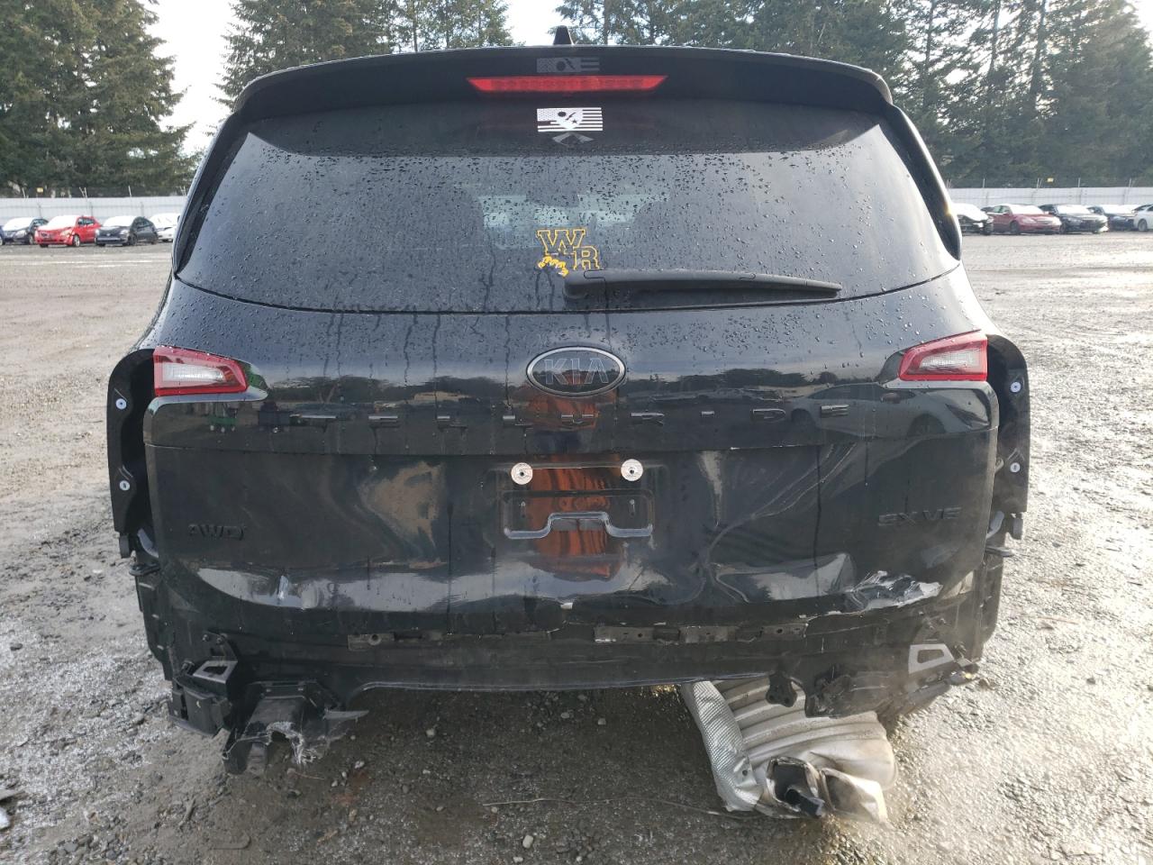 2021 KIA Telluride VIN 5XYP5DHC7MG186299 Copart auction photo, rear end / side damage thumbnail 6