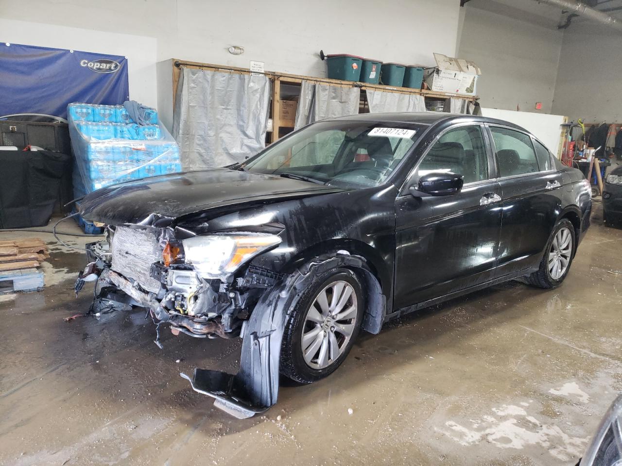 2011 Honda Accord VIN 1HGCP3F89BA011195