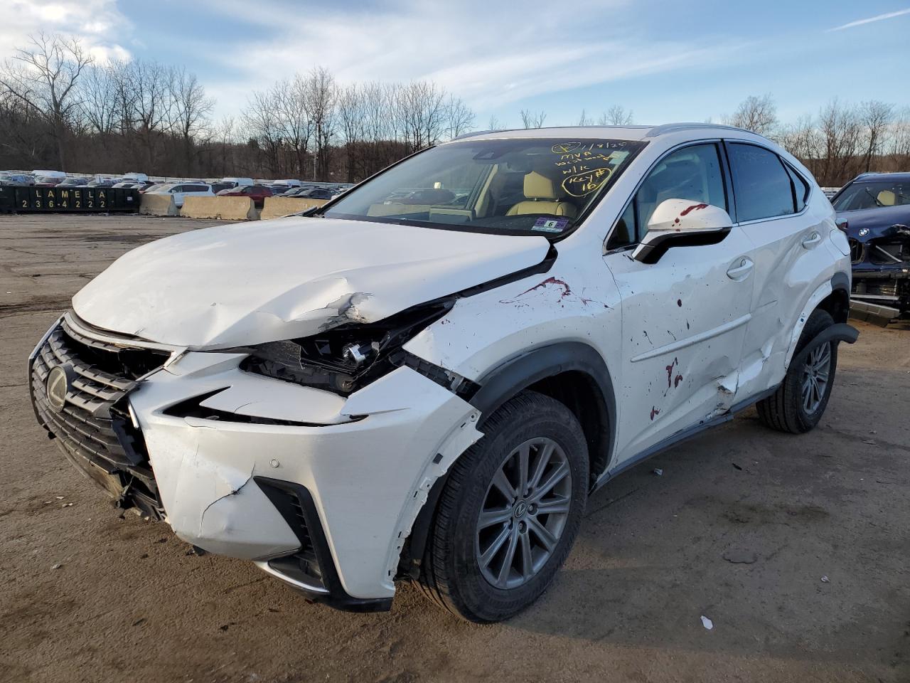 2019 Lexus NX VIN JTJBARBZ1K2179854