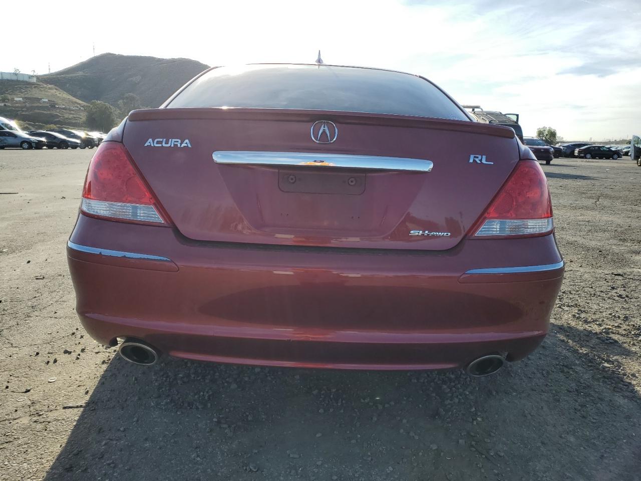 2006 Acura RL VIN JH4KB165X6C002484 Copart auction photo, side damage thumbnail 6