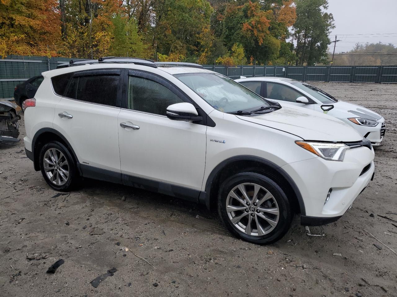 2017 Toyota RAV 4 VIN JTMDJREV3HD131760 Copart auction photo, side damage thumbnail 4