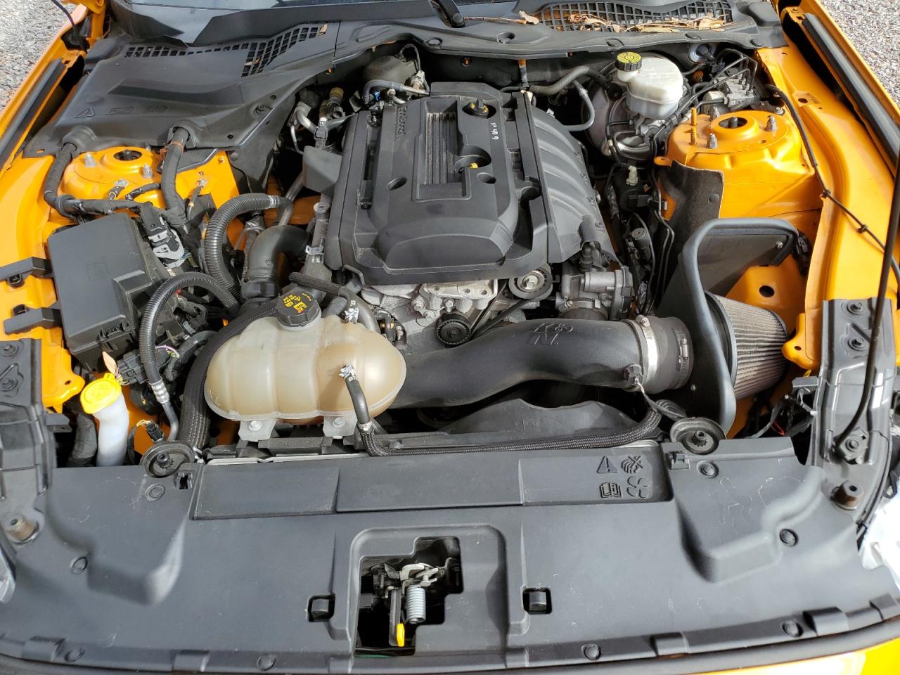 2019 Ford Mustang VIN 1FA6P8TH7K5141245 Copart auction photo, rear end / side damage thumbnail 12