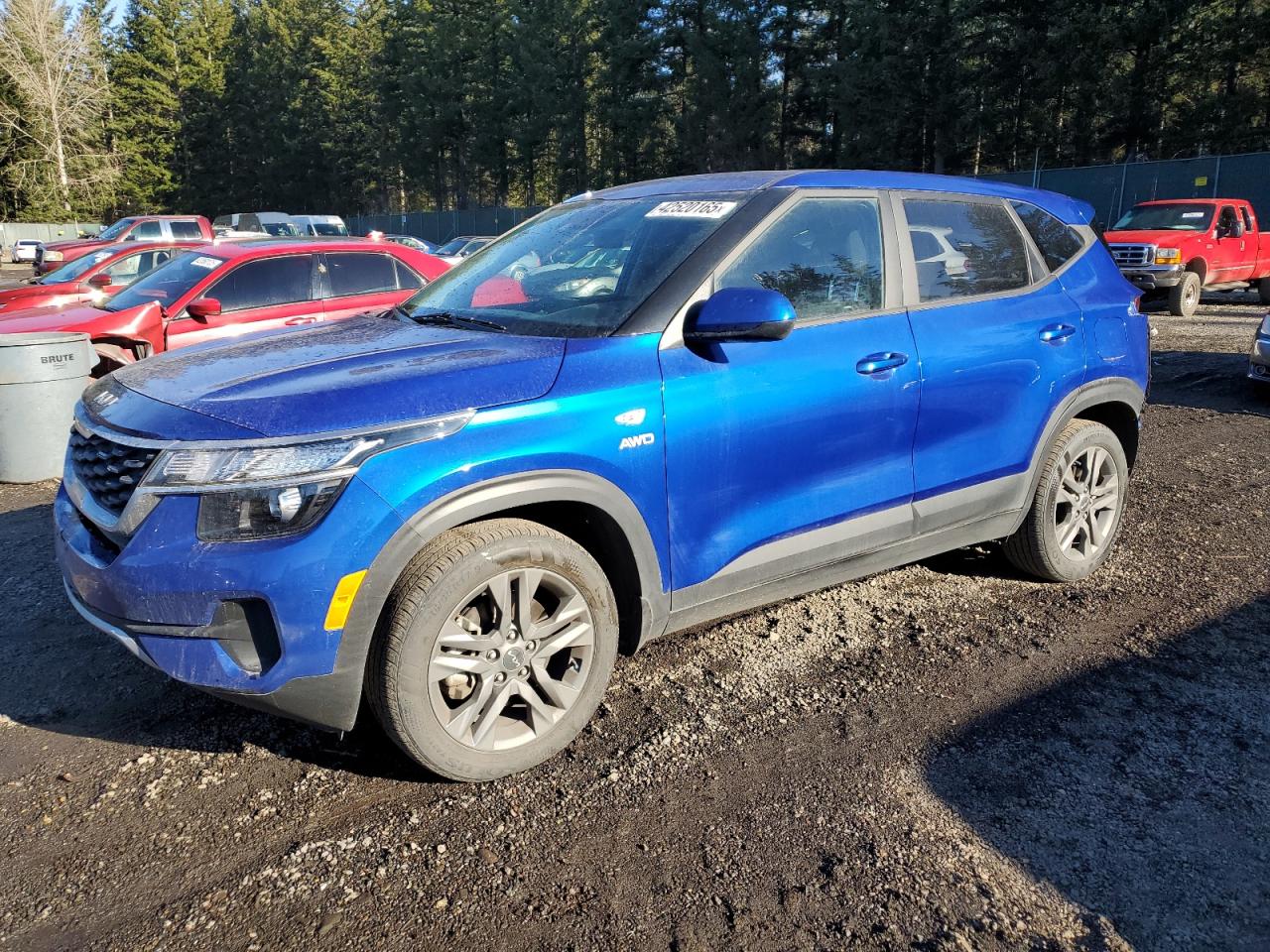 2022 KIA Seltos VIN KNDEPCAAXN7333623