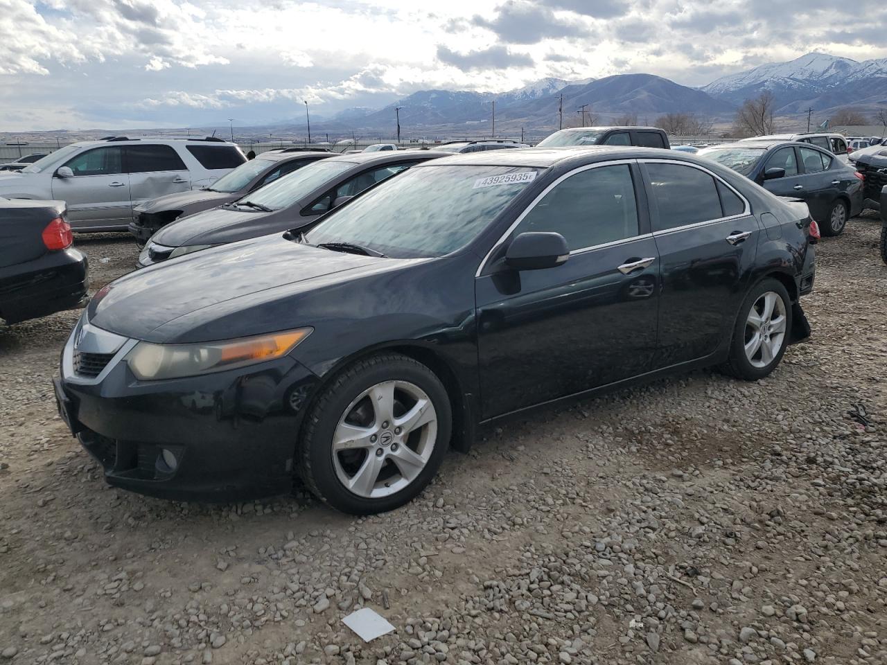 2010 Acura TSX VIN JH4CU2F66AC042714