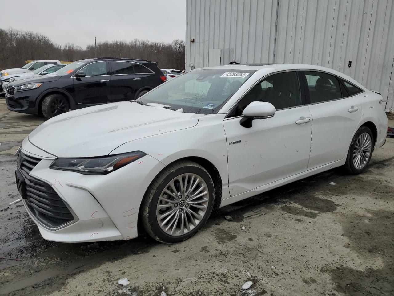 2019 Toyota Avalon VIN 4T1B21FB3KU011759