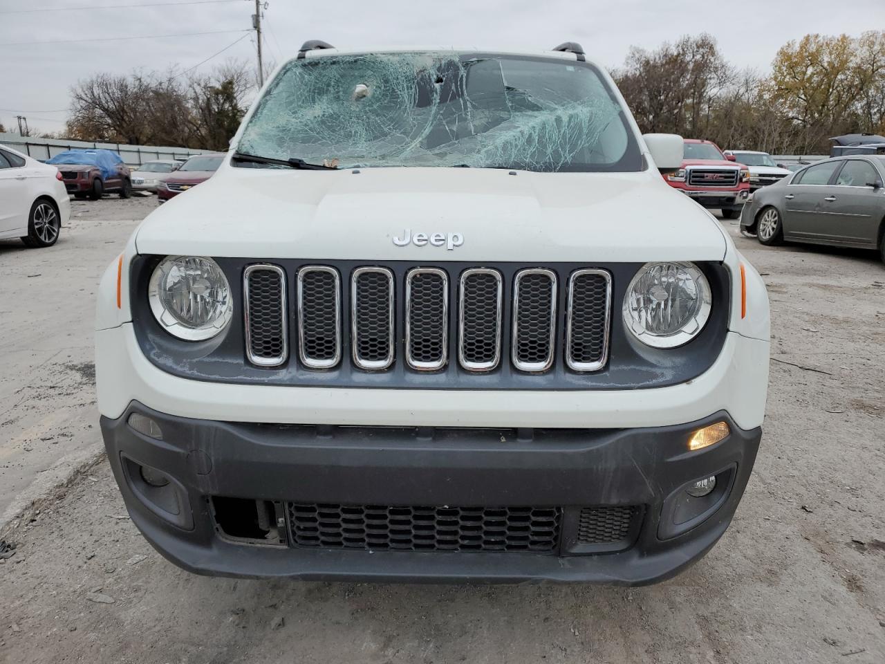 2016 Jeep Renegade VIN ZACCJBBT3GPE18716 Copart auction photo, side / minor dent/scratches damage thumbnail 5