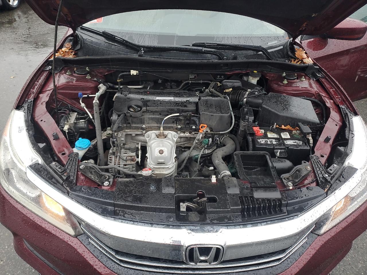 2017 Honda Accord VIN 1HGCR2F31HA199941 Copart auction photo, side damage thumbnail 11