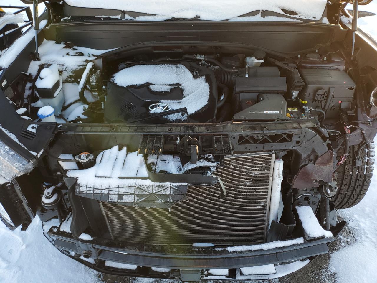 2021 Hyundai Palisade VIN KM8R4DHE6MU173910 Copart auction photo, front end damage thumbnail 13
