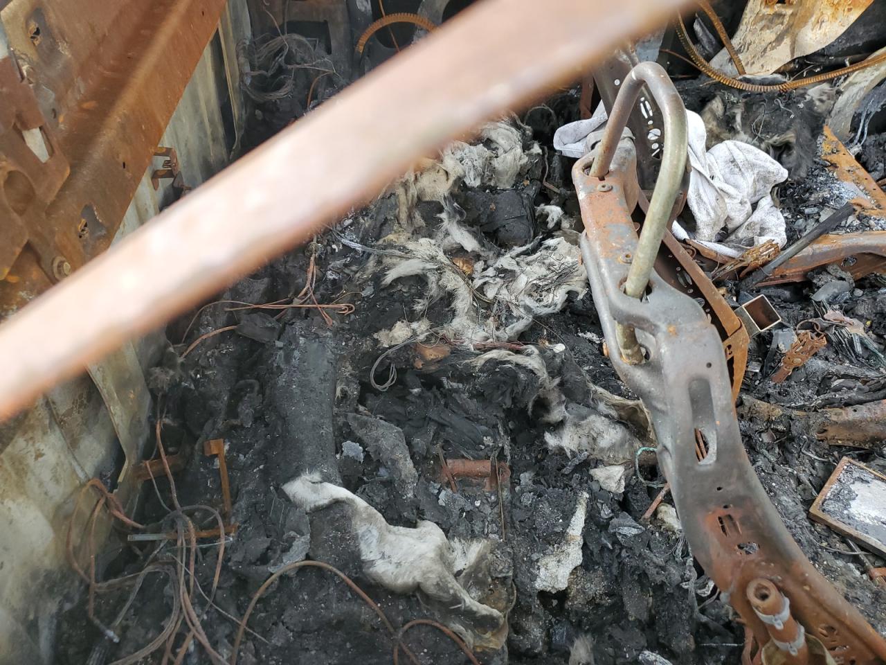 2016 Chevrolet Colorado VIN 1GCHTDE37G1175693 Copart auction photo, burn damage thumbnail 10