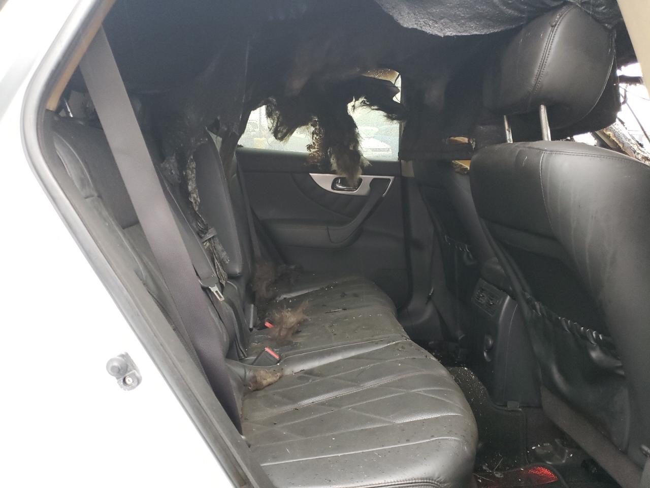2010 Infiniti FX VIN JN8AS1MW3AM851212 Copart auction photo, burn / minor dent/scratches damage thumbnail 10