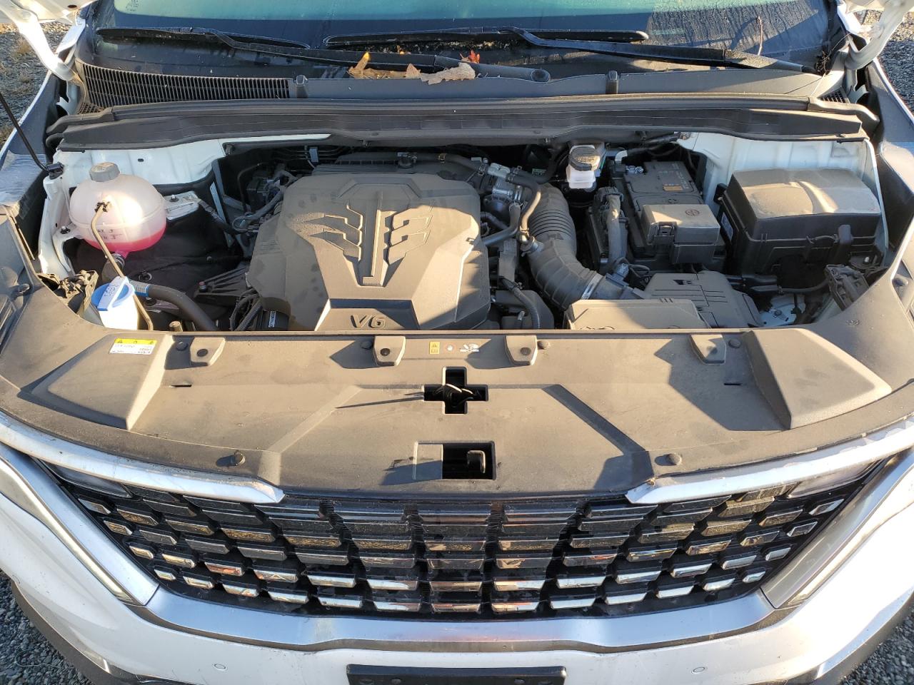 2023 KIA Carnival VIN KNDNE5H34P6222597 Copart auction photo, top/roof / minor dent/scratches damage thumbnail 12