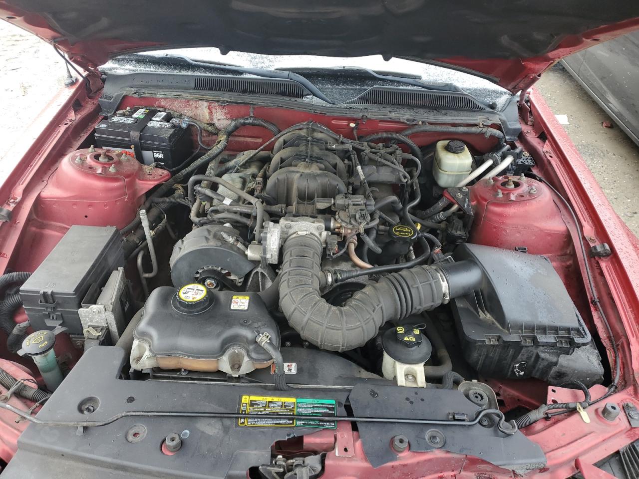 2005 Ford Mustang VIN 1ZVFT84N255192177 Copart auction photo, front end damage thumbnail 11
