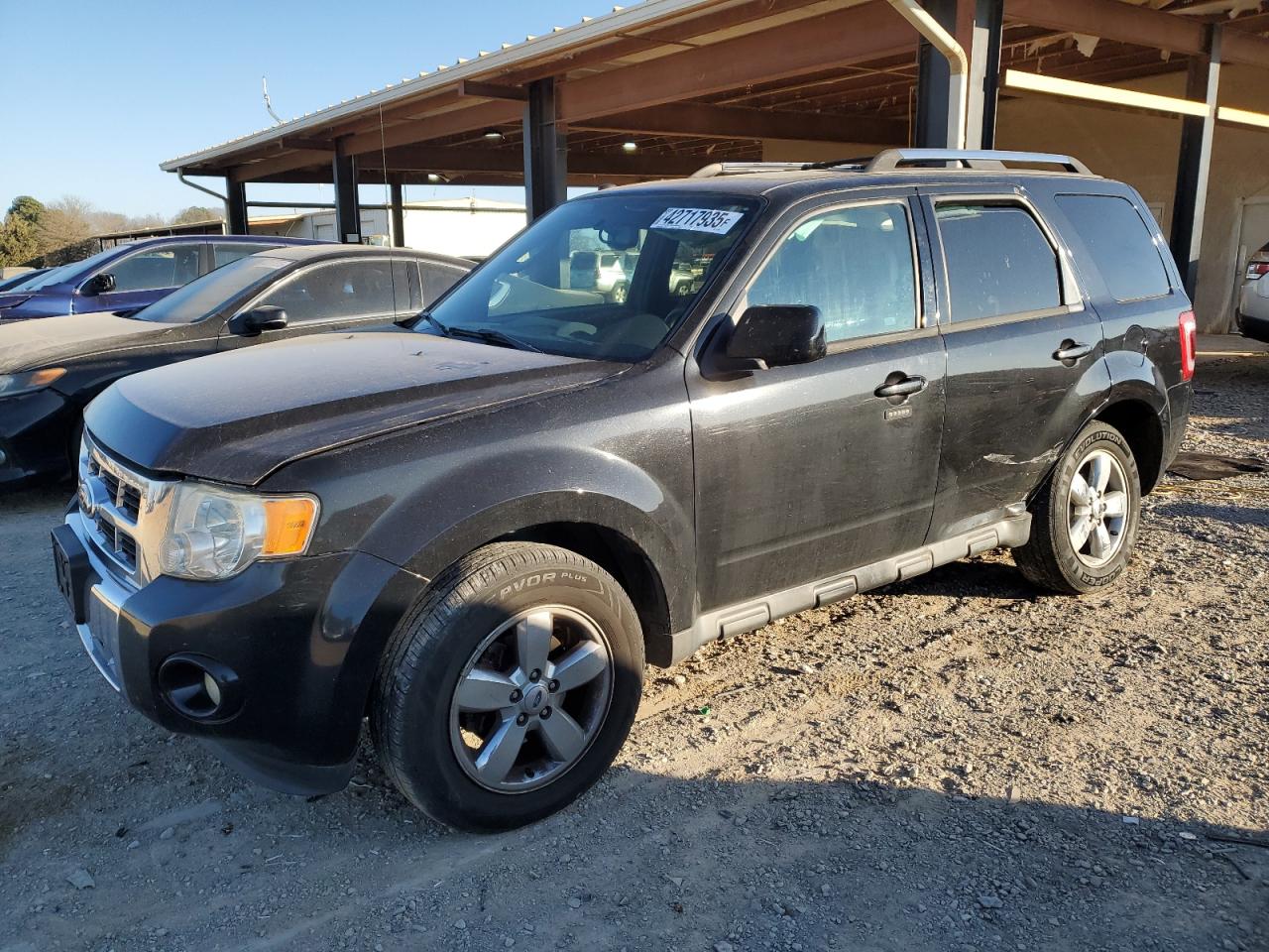 2011 Ford Escape VIN 1FMCU0EG5BKB77282