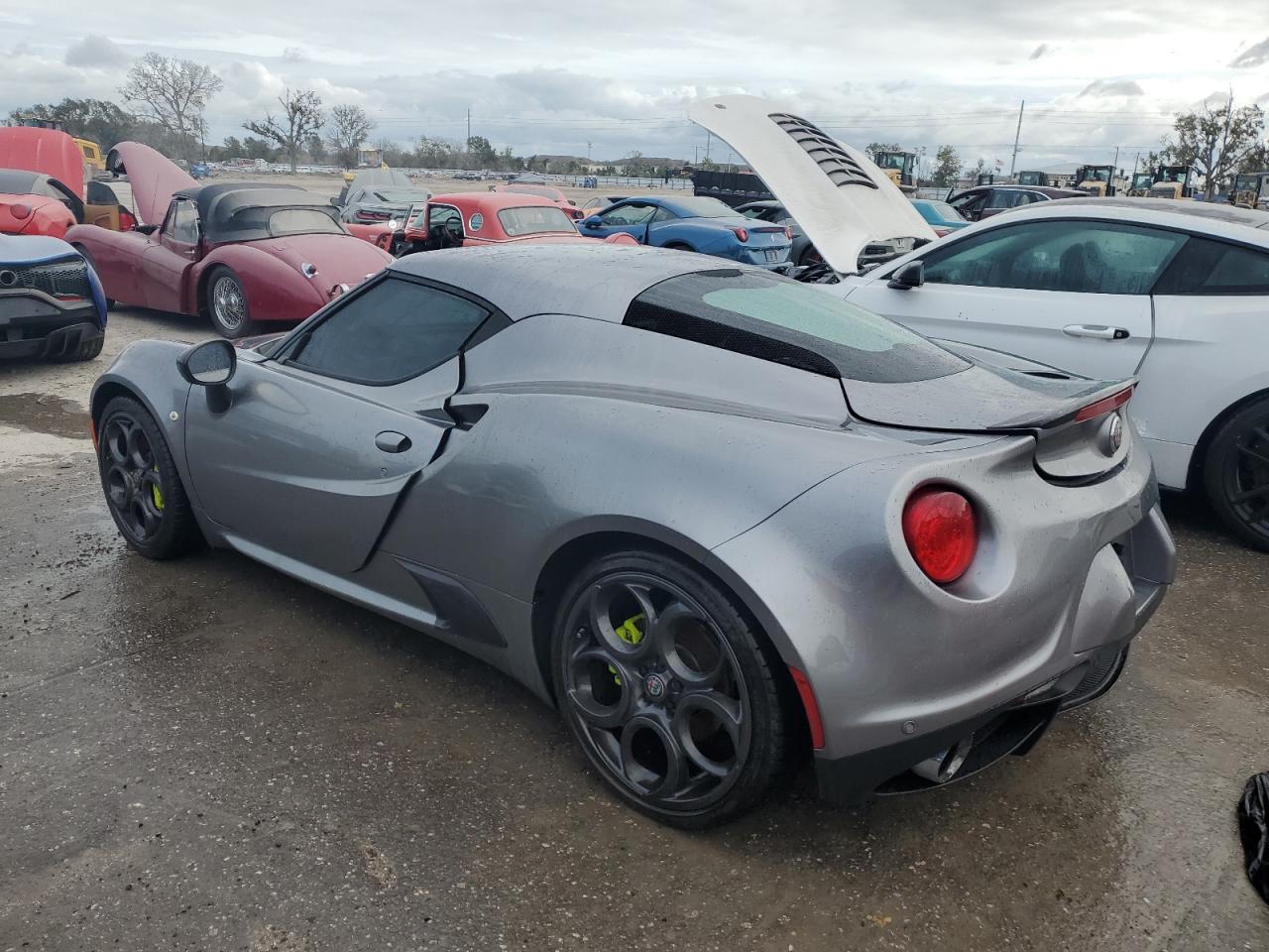 2017 Alfa Romeo 4C VIN ZARBAAA46HM245019 Copart auction photo, water/flood damage thumbnail 2
