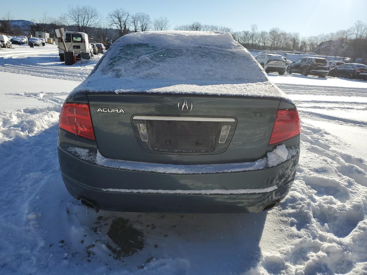 2004 Acura TL VIN 19UUA65574A003694 Copart auction photo, all over / side damage thumbnail 6