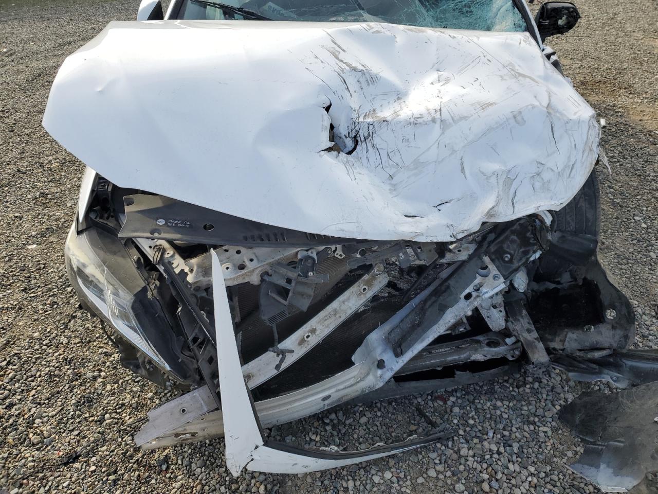 2019 Toyota Camry VIN 4T1B11HK8KU804880 Copart auction photo, front end / side damage thumbnail 12