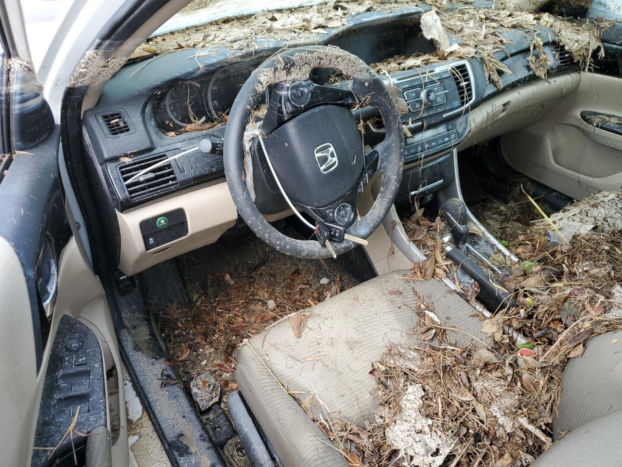2017 Honda Accord VIN 1HGCR2F36HA189518 Copart auction photo, water/flood damage thumbnail 8