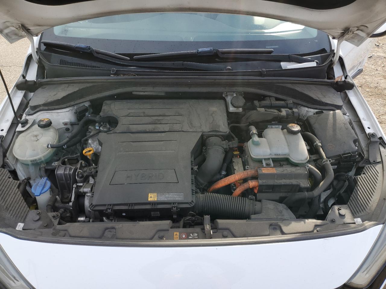 2017 Hyundai IONIQ VIN KMHC85LC8HU047253 Copart auction photo, side damage thumbnail 13