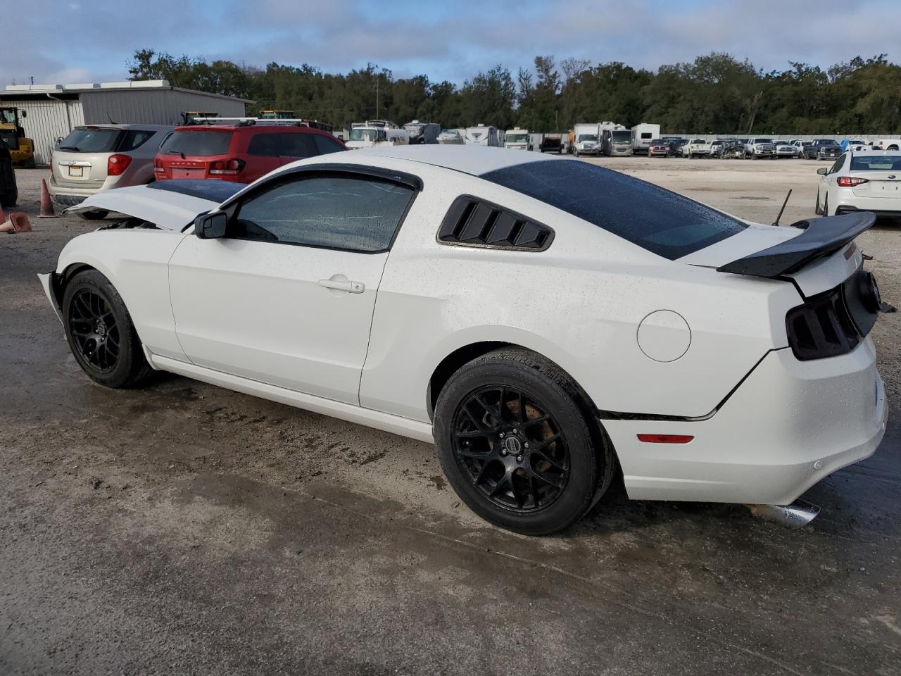 2013 Ford Mustang VIN 1ZVBP8AM5D5229087 Copart auction photo, front end damage thumbnail 2