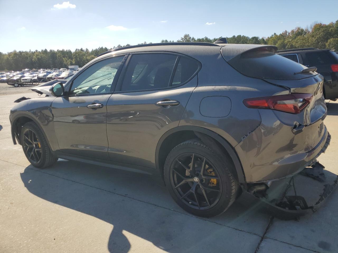 2019 Alfa Romeo Stelvio VIN ZASPAJAN4K7C71253 Copart auction photo, front end / rear end damage thumbnail 2