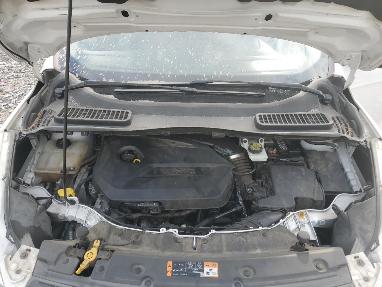 2015 Ford Escape VIN 1FMCU0GX6FUA50449 Copart auction photo, side damage thumbnail 13