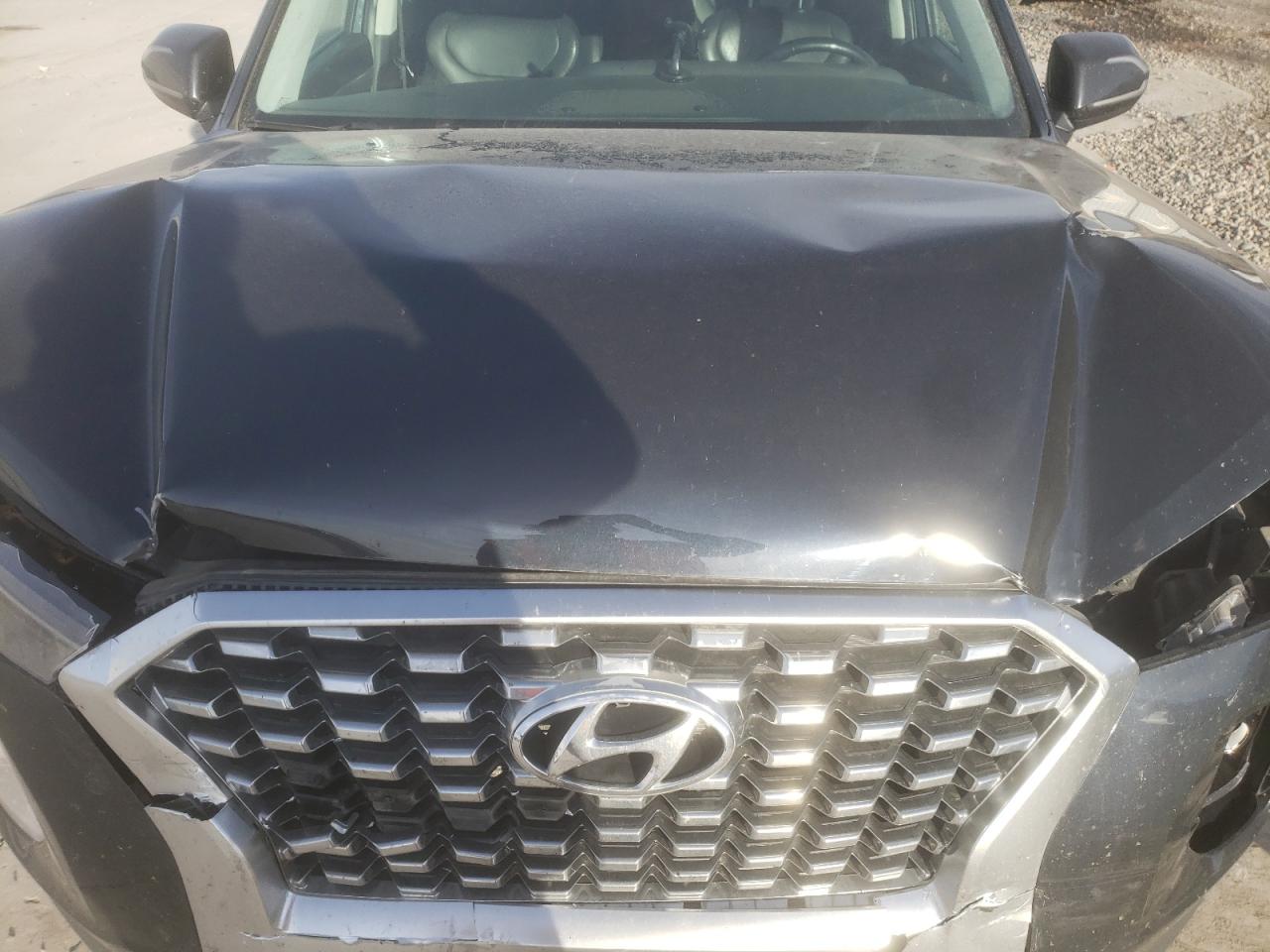 2020 Hyundai Palisade VIN KM8R4DHE1LU088746 Copart auction photo, front end damage thumbnail 13