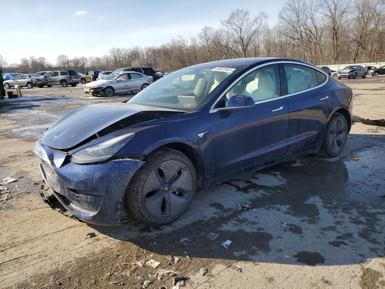2019 Tesla Model 3 VIN 5YJ3E1EA6KF323690 - Copart auction photo