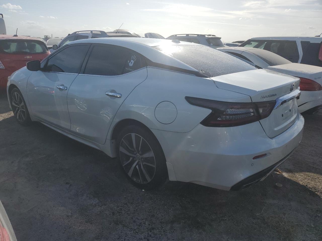 2020 Nissan Maxima VIN 1N4AA6BV7LC376474 Copart auction photo, water/flood damage thumbnail 2