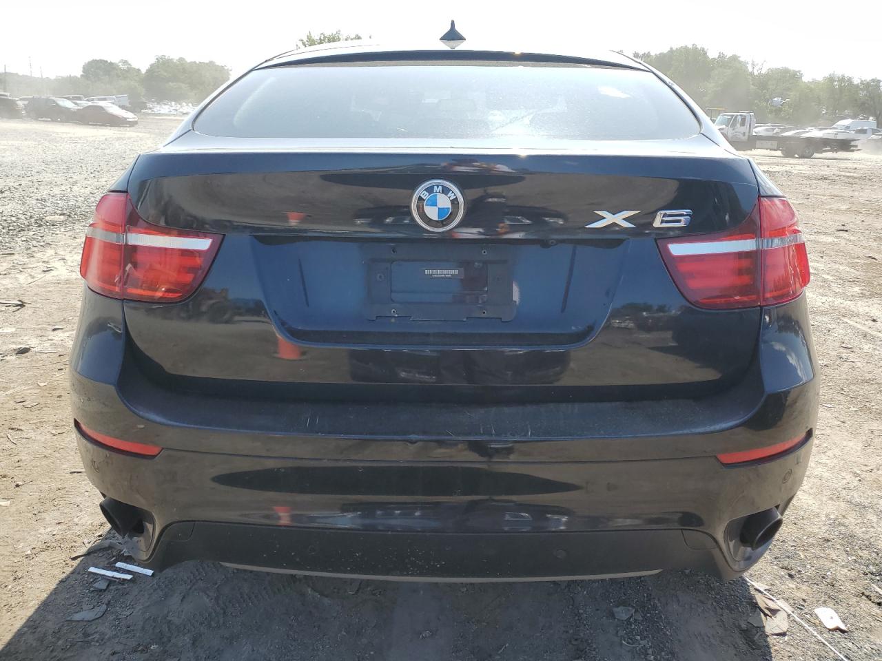 2013 BMW X6 VIN 5UXFG2C59DL785680 Copart auction photo, front end / minor dent/scratches damage thumbnail 6