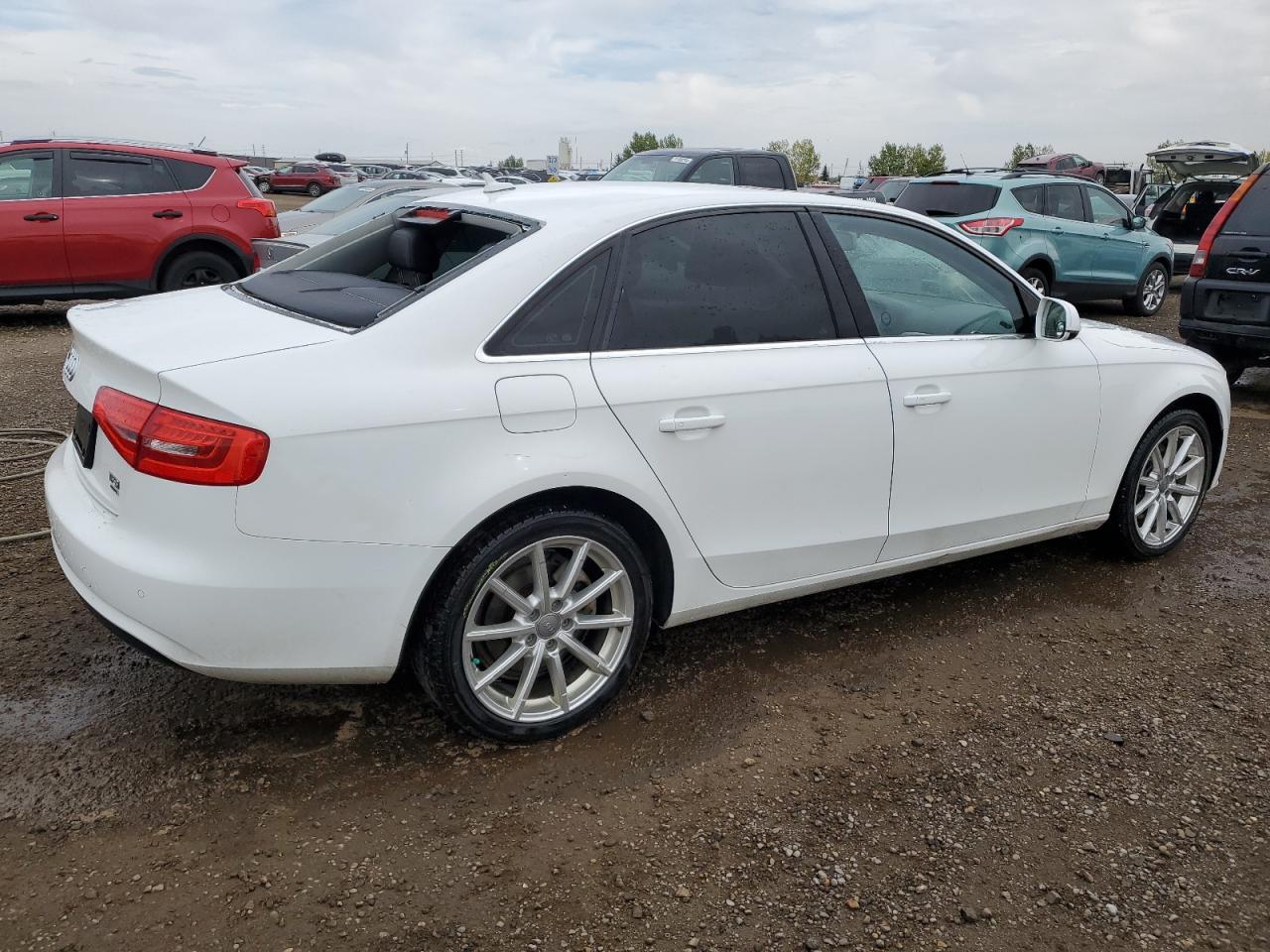 2014 Audi A4 VIN WAUFFCFL9EN022999 Copart auction photo, hail / minor dent/scratches damage thumbnail 3
