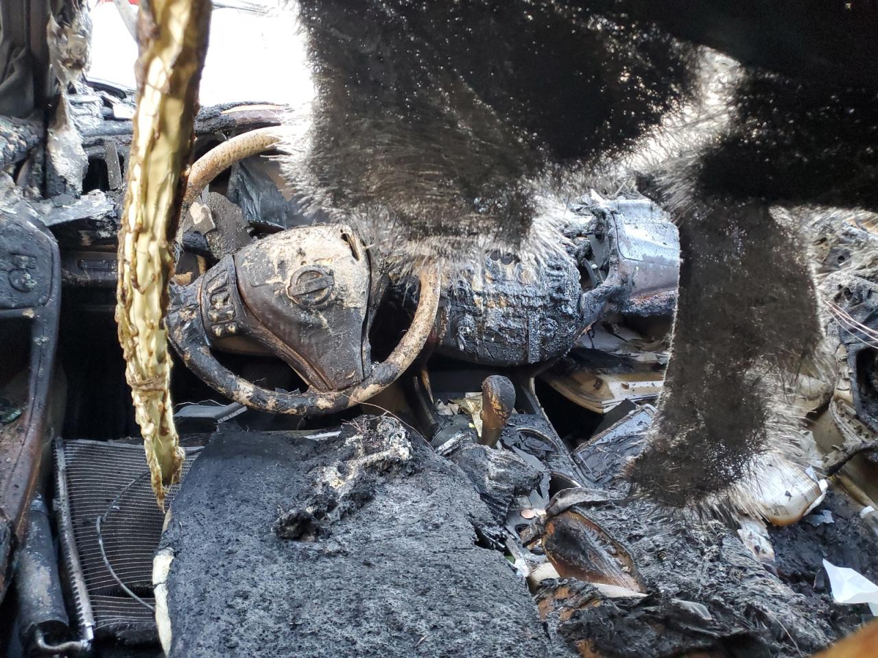 2015 Nissan Altima VIN 1N4AL3AP6FC279749 Copart auction photo, burn damage thumbnail 8