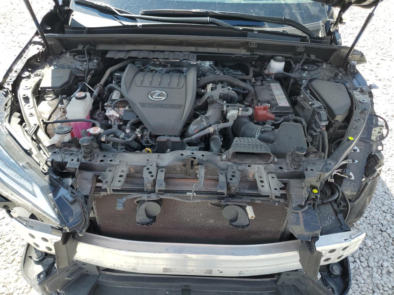 2023 Lexus NX VIN JTJKGCEZ4P5004561 Copart auction photo, front end / rear end damage thumbnail 12