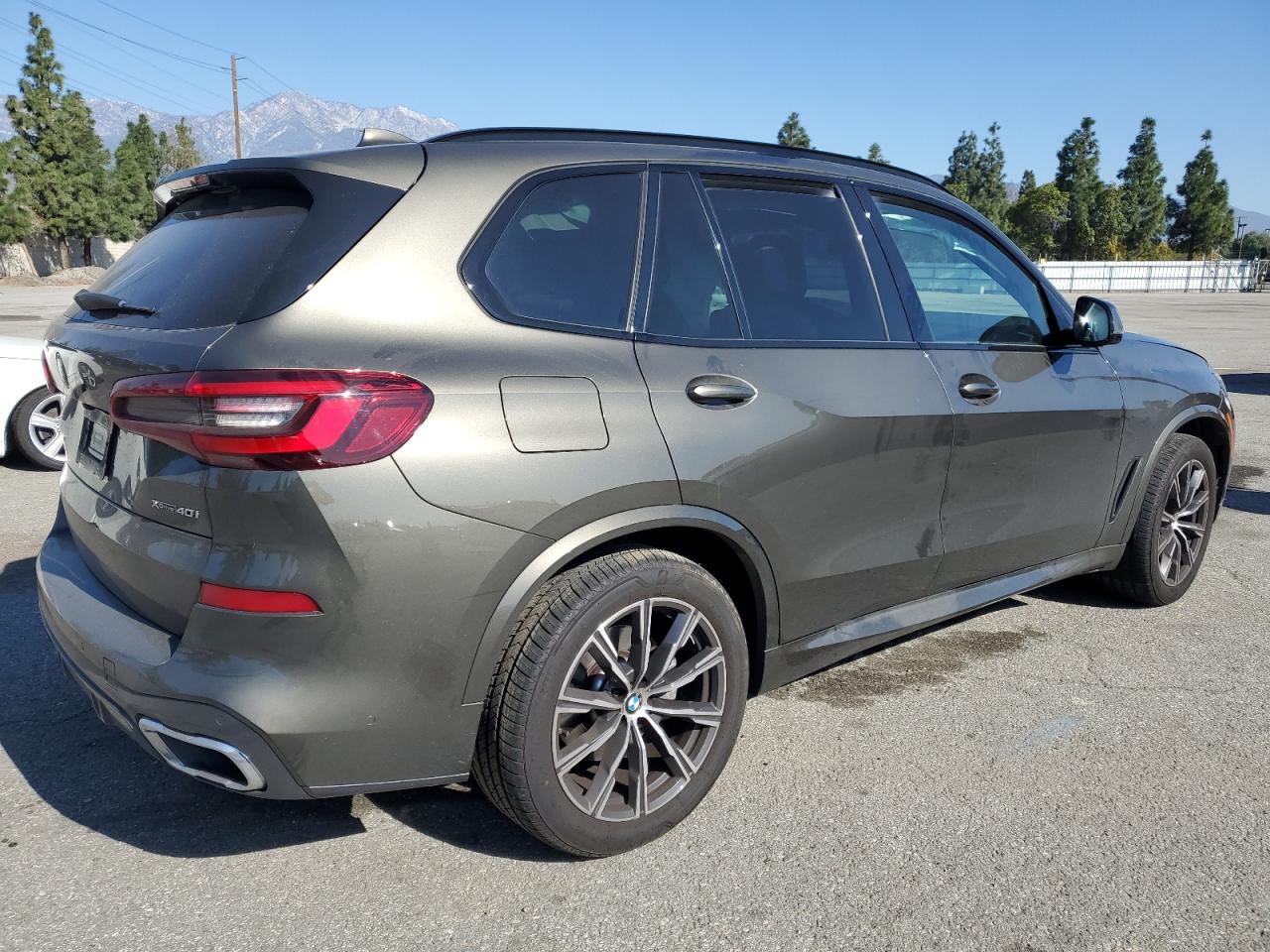 2022 BMW X5 VIN 5UXCR6C0XN9M17211 Copart auction photo, side damage thumbnail 3