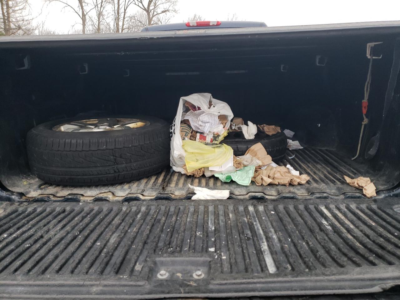 2009 Chevrolet Silverado VIN 1GCEC14X09Z170233 Copart auction photo, normal wear damage thumbnail 10