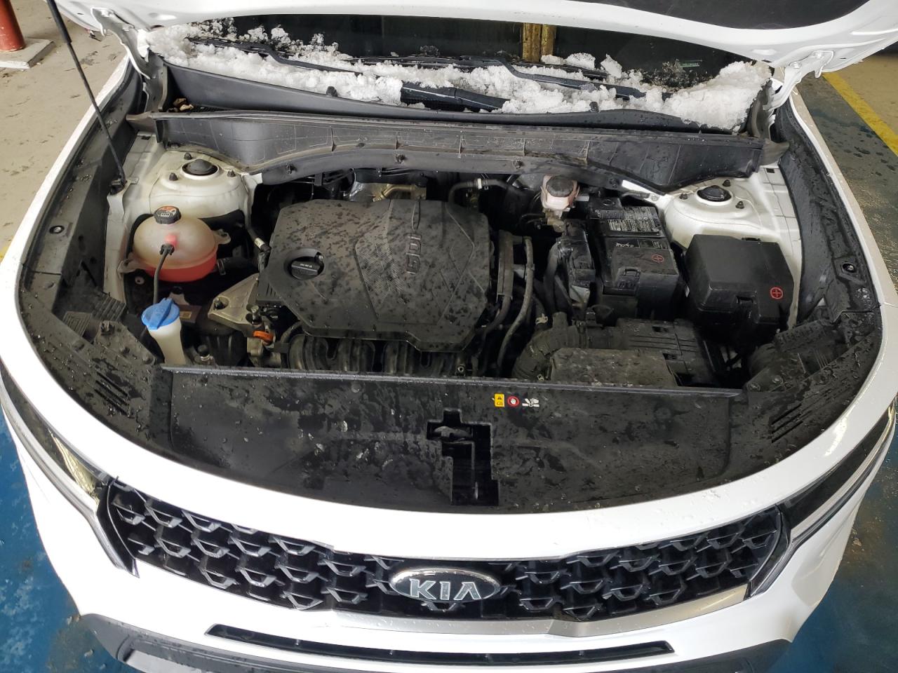 2021 KIA Sorento VIN 5XYRGDLC1MG035498 Copart auction photo, rear end / front end damage thumbnail 12